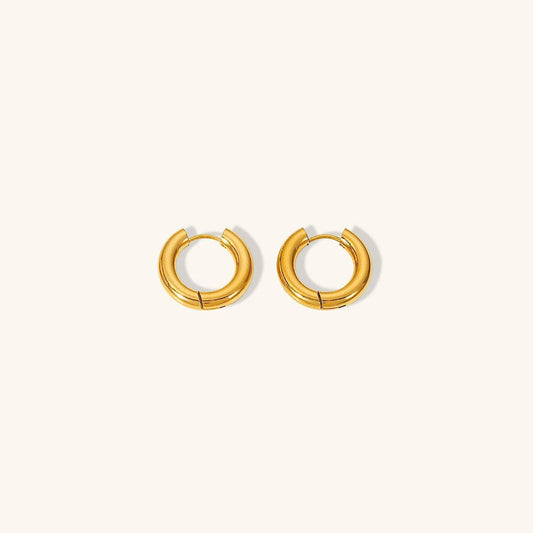 ROXY | Gold Earrings